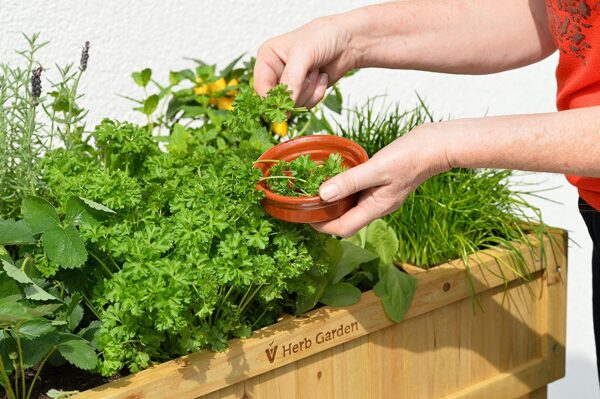 VegTrug 8 Pocket Herb Garden - Image 4