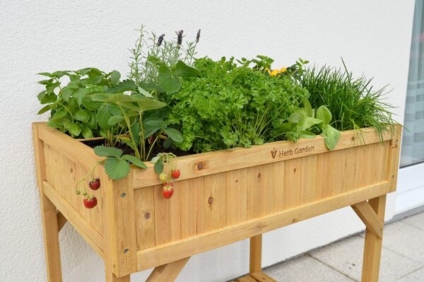 VegTrug 8 Pocket Herb Garden - Image 7